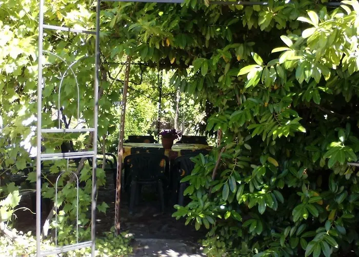 Lantställe El Condado *